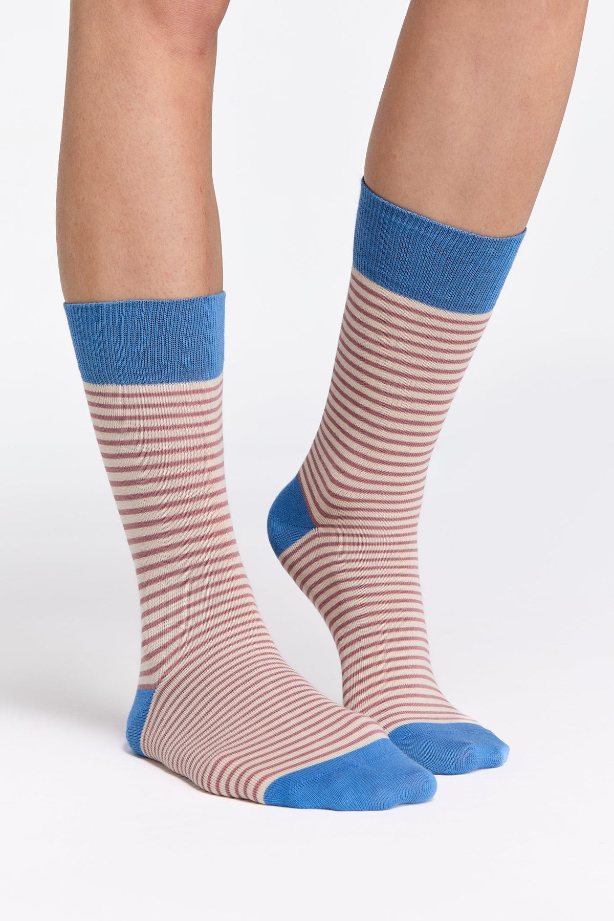 Earth Wardrobe Organic Cotton Everyday Socks 6-Pack