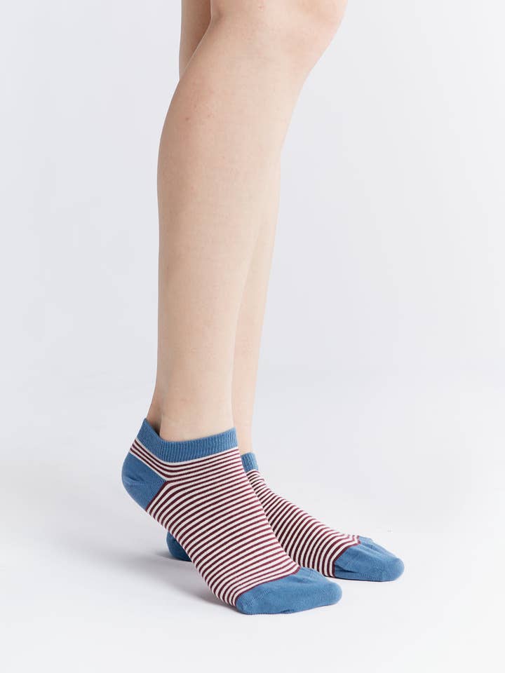 Earth Wardrobe Organic Cotton Trainer Socks: 6-Pack