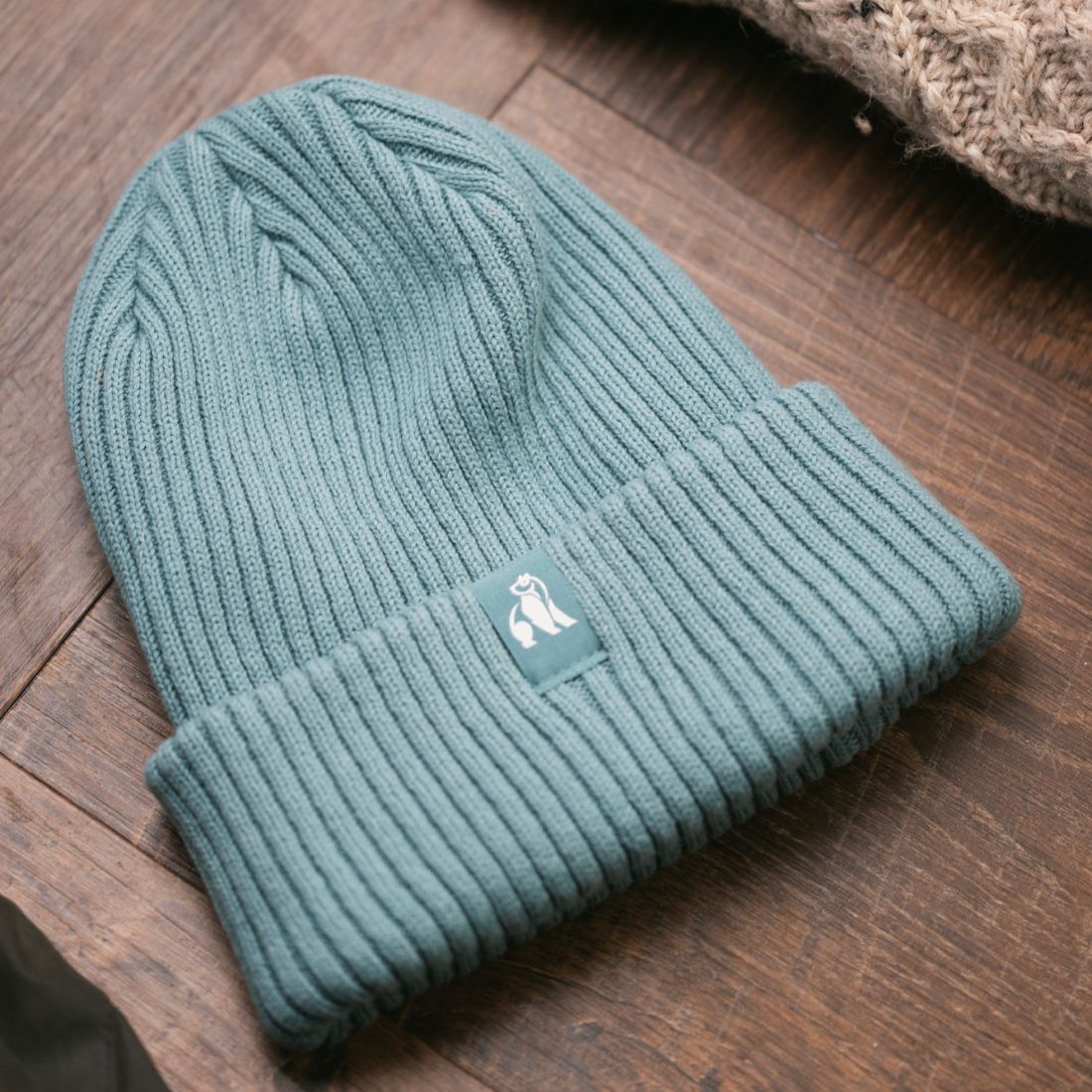 Swole Panda Organic Cotton Beanie in Turquoise