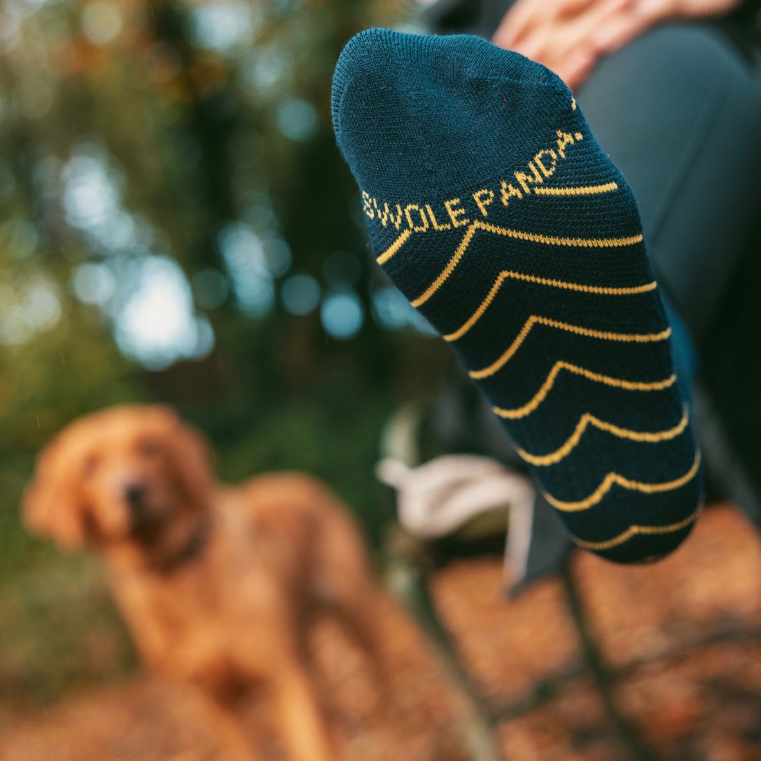 Swole Panda Navy Performance Trainer Socks in Bamboo Blend