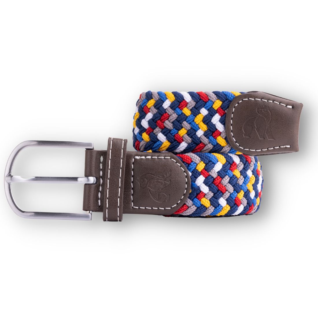 Swole Panda Woven Belt in Rainbow Zigzag