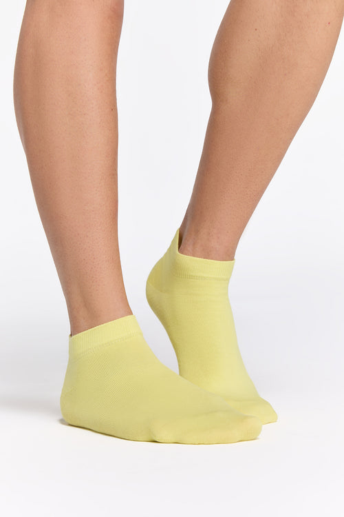Earth Wardrobe Organic Cotton Trainer Socks: 6-Pack