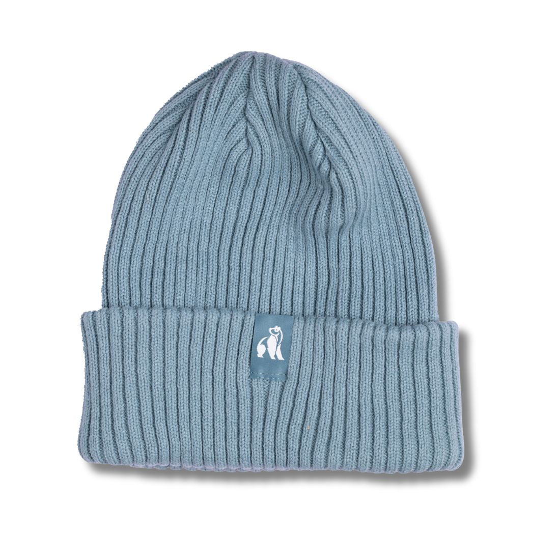 Swole Panda Organic Cotton Beanie in Turquoise