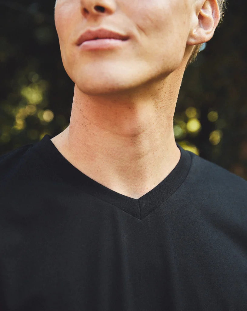 Earth Wardrobe Fairtrade Organic Cotton V-Neck T-Shirt: Mens