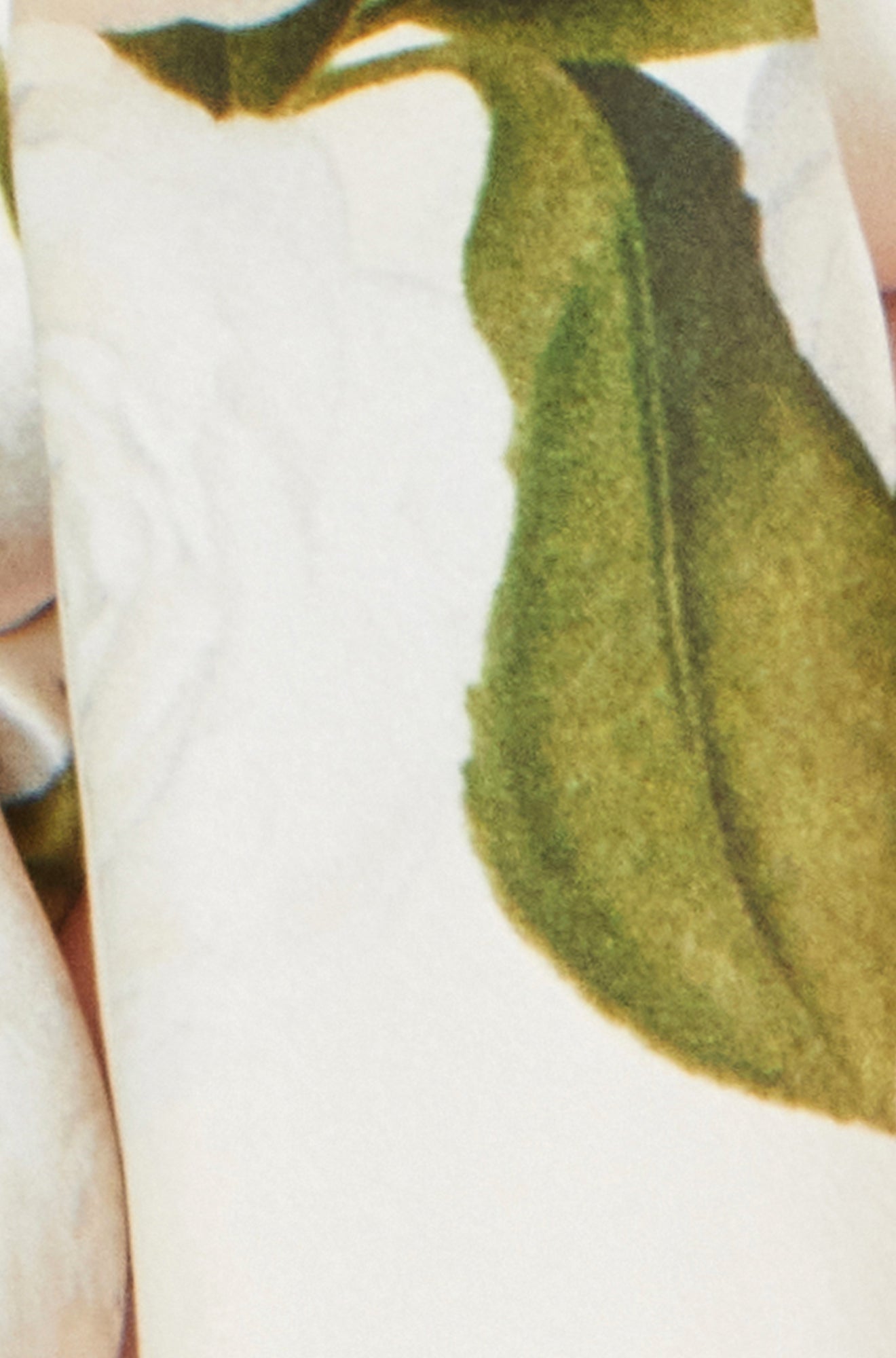 Ivory Botanical Rose Print Scarf - 100% Silk - Bascora