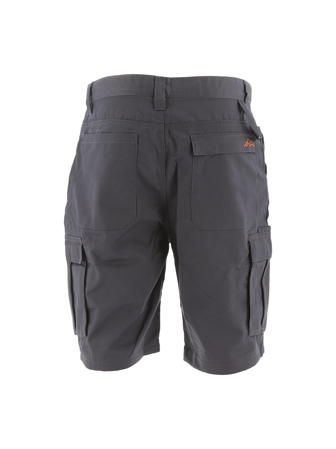 North Peak Axis Grey Cargo Short - Bascora