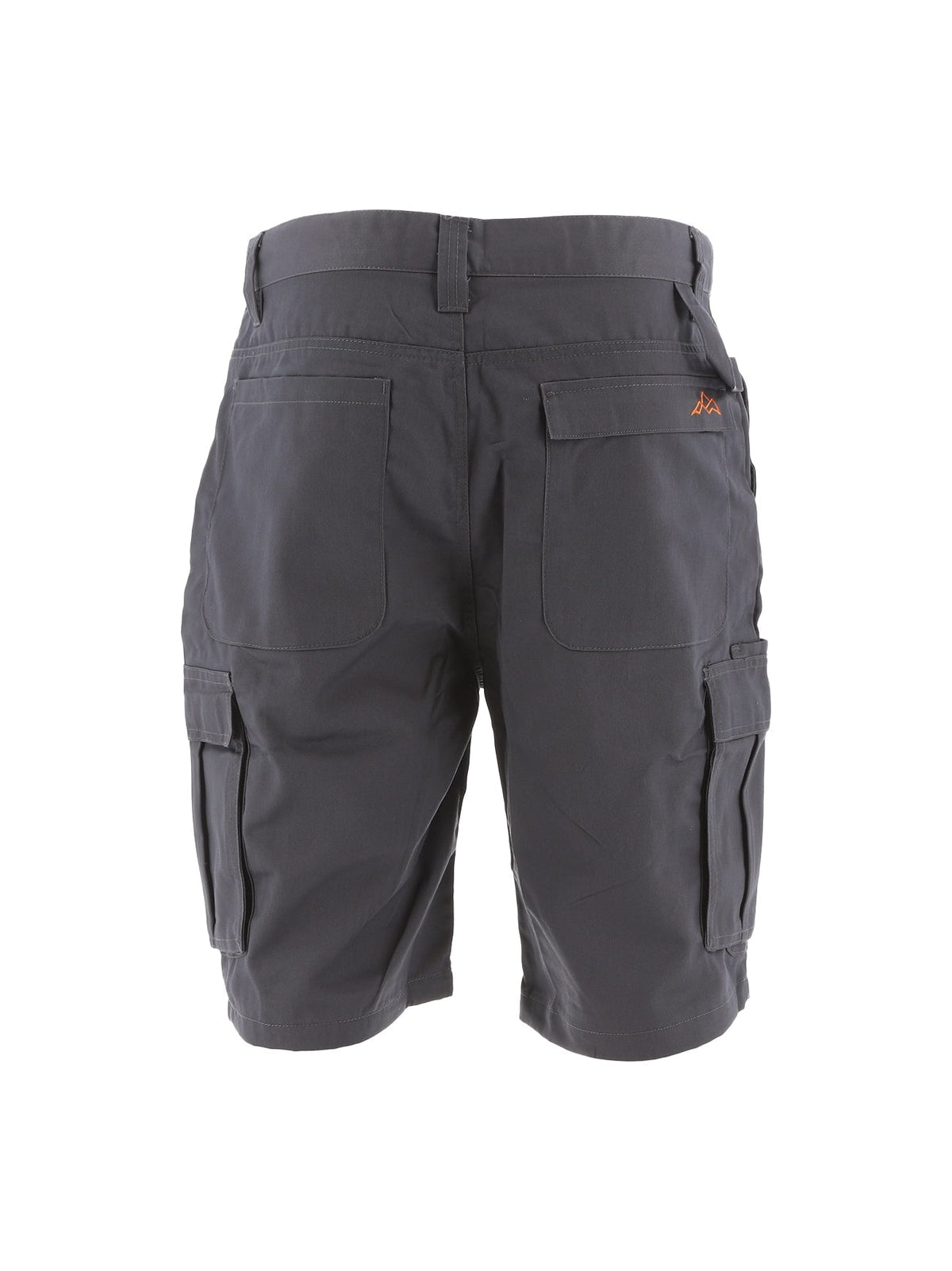 North Peak Axis Grey Cargo Short - Bascora