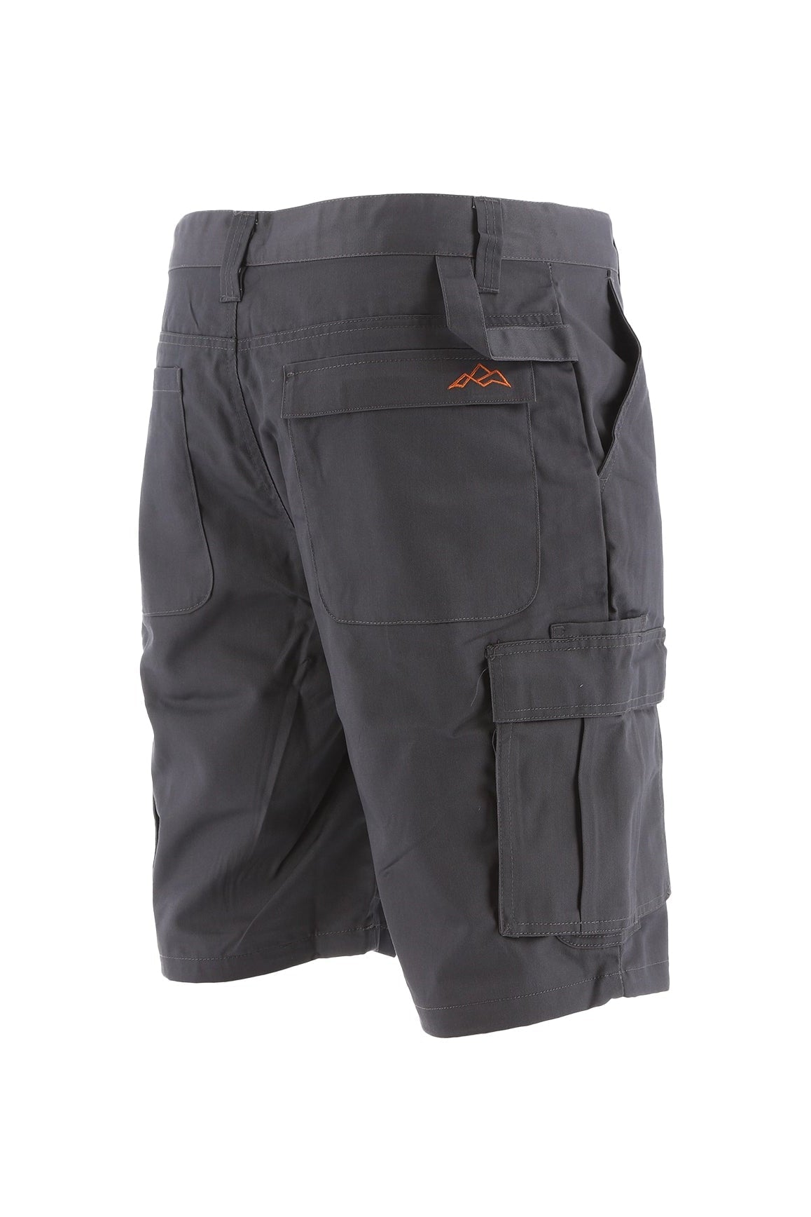 North Peak Axis Grey Cargo Short - Bascora