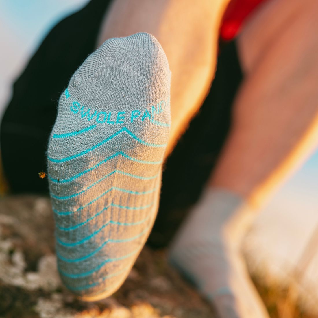 Performance Trainer Socks – Grey - Bascora