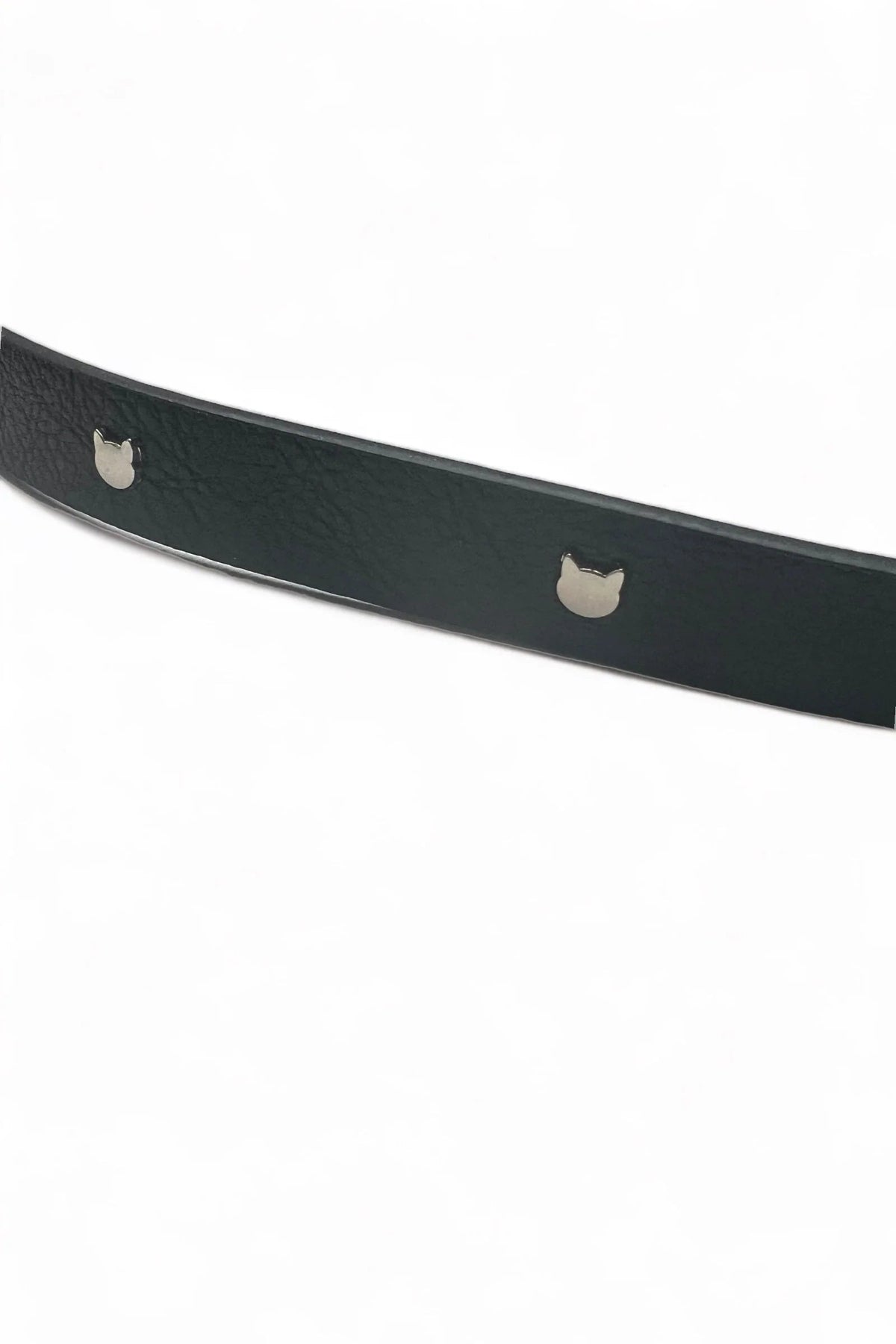 Wilma Cat Stud Black Belt - Bascora